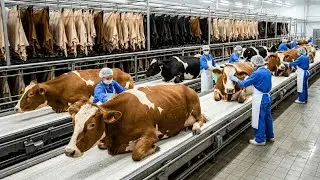 Inside Leather Factory &ndash; Cow Leather Processing Step by Step