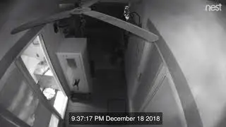 Ontrac shipping service STEALING!!!