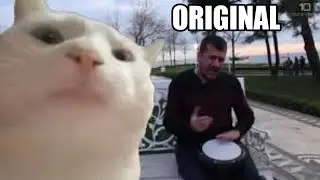 🐈Cat Vibing to Ievan Polkka😍 | (Original)|HD music| Cat Vibing music| Viral meme| Cat vibing meme 😍🐈