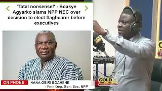 NPP Leaders' Nonsense? Hon. Hanna Bisiw-Kotel Shines Amidst Galamsey Crisis! 🌟💪