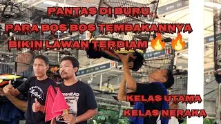 TEMBAKAN MURAI BATU | BIMA Milik VICKY AUTHOR  JUARA 1 (MASTERPIECE ARENA)#kicaumania #muraibatu