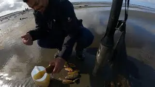 HOW TO DIG FOR RAZOR CLAMS IN WASHINGTON STATE