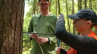 Do changing lake levels affect Wisconsin's forests and wetlands?