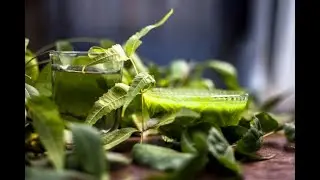 what are the benefits of neem leaves | can neem leaves cure cancer as well? | neem leaves for skin