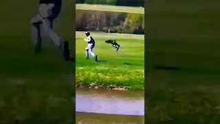 duck attack human.how impossible🤔🤔🤔 #short #viralshorts #2023