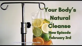 How Nutrigenetics Help the Body Naturally Detox