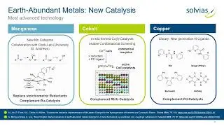 The Journey of a Catalyst