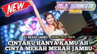 DJ BREAKBEAT FULL BASS | DJ MERAH JAMBU 2025 BASS NYA BIKIN NAGIH !!!