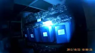 The Patroller Flashlight Video Demo from RageCams