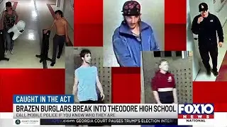 Brazen burglars caught on camera recently