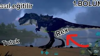Ark REX eğitim ama? 1.Bölüm Nasıl eğitilir