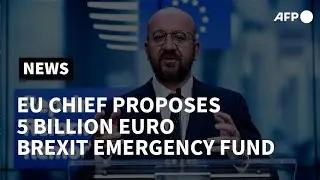 EU chief proposes five billion euro Brexit emergency fund | AFP