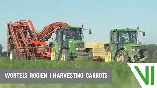 Wortels rooien | Harvesting carrots | Heyboer BV | Biddinghuizen, The Netherlands