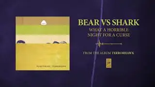 Bear Vs. Shark 