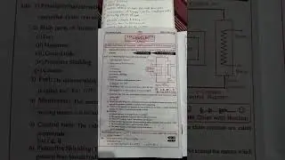 Ts & Ap inter 2nd year physics nuclei gun short 8 marks answers💯 2023#interexams2023