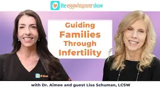 Guiding Families Through Infertility: Mental Health Insights with Lisa Schuman #infertility #ttc