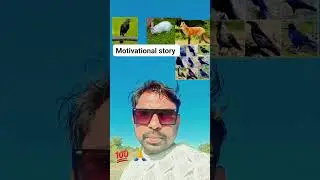 rabbit, crow and fox of story #motivation #video #motivational #story #rabbit #crow # #viralvideos