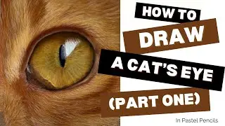 How To Draw A Cats Eye In Pastel Pencils (Part One)