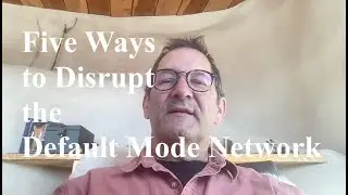 5 ways to disrupt the DMN (Default Mode Network)