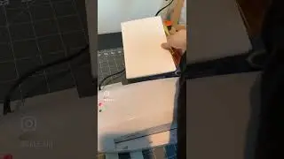 Gold Foil Prints! Satisfying peel 😌