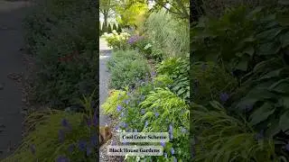 Garden Design 🌿Purple and White Color Scheme