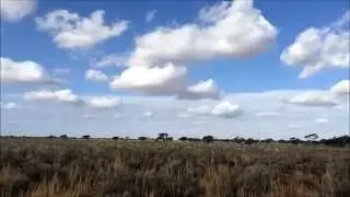Scenes from the Australian Arid Zone