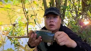 Tập 213 - Câu Cá Rô Đồng Em Tý Cứ Rình Rình Lên Cá Rô Khủng Hoài Luôn