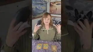 Psychic Medium Valerie Kae FREE Animal Guides Oracle Card Pull. A great Psychic exercise