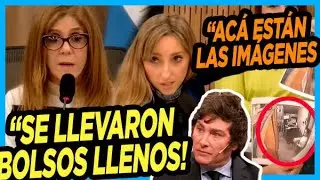 💣 ESCÁNDALO! IRINA HAUSER FUE AL CONGRESO Y CONFIRMÓ QUE ESTUVIERON SACANDO BOLSOS DEL BANCO A DÍAS