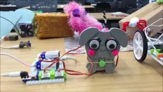 TechScience Australia Workshops and activities