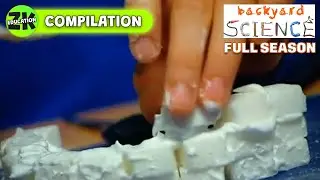Backyard Science  S2E27-28 The ultimate kitchen face scrub Double FULL EPISODE | ZeeKay Education