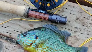 Gear review: Maxxon Quill fly rod and XG II reel #fishing #flyfishing #fishinggear #panfish