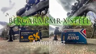 Bergara BMR-X Steel: SK Standard Plus vs Lapua Pistol King