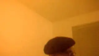 Video 2384