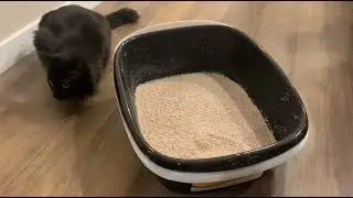 Petmate Large Sifting Litter Box Scoop Free Cat Litter Tray with Microban, Made in USA