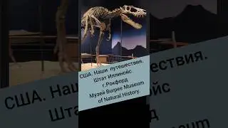 #shot384 USA Illinois Attractions. Rockford. Burpee Museum of Natural History
