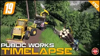 🇦🇹 Cleaning Forestry Accident, Trailer Fliped Over From The Clif Edge ⭐ FS19 Walchen TP