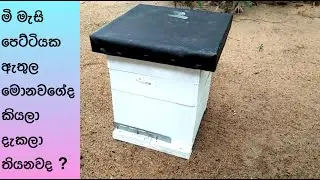 Bee Box Sri Lanka | BeeBox sinhala | Beekeeping Sri lanka | Beekeeping Box |Beekeeping Sinhala|NMLIN