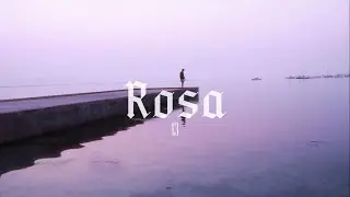 Rosa - SIDI