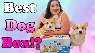 BOXDOG Unboxing | Best Dog Subscription Box!?