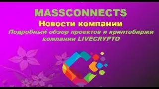 MASSCONNECTS Новости компании Подробный обзор проектов и криптобиржи компании LIVECRYPTO