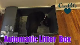 Smart Scoop Automatic Litter Box from Our Pets