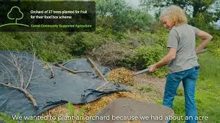 Growing Together: Celebrating 5 Years of Forest for Cornwall