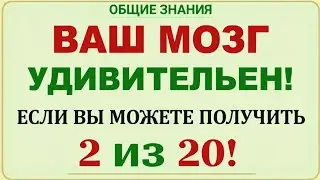 Удивительные факты, которые ты точно не знал 🌍