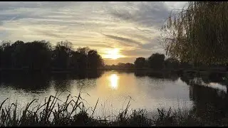 Golden Silence | Sunset Breathing Pause