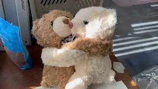Two Hugging Teddy Bears Stuffed Animals w...Is it Worth it? Watch this First! #ad #amazoninfluencer