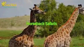 Unforgettable Adventures | Abijatta-Shalla National Park Safari | Exodus Safaris Experience