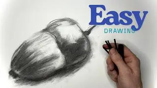 How to Draw a Realistic Acorn with Charcoal (Easy Tutorial)