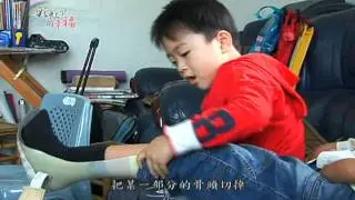 生命小鬥士