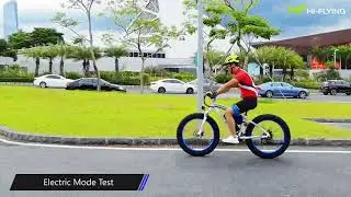 ECO-FLYING electric bike TOP-020